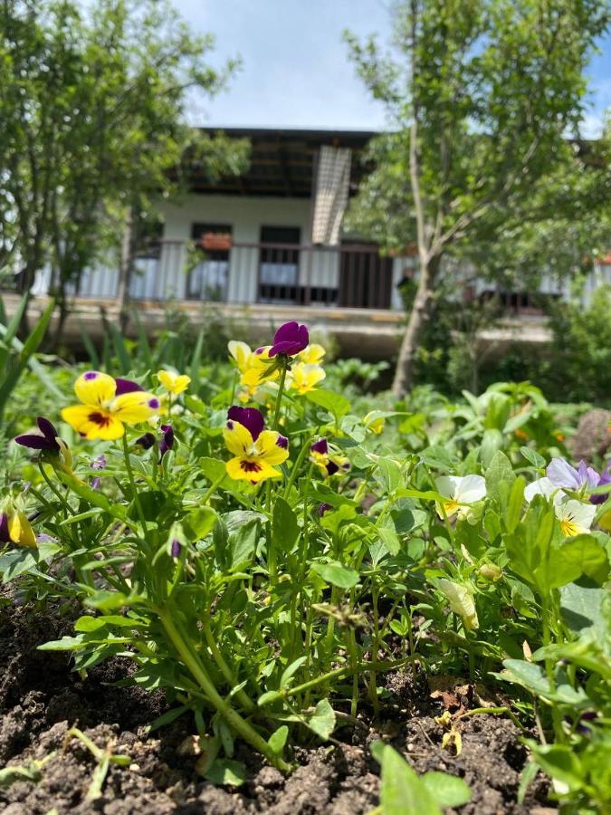 Green Agarak Guest House Near Dendropark, Stepanavan Gyulagarak المظهر الخارجي الصورة