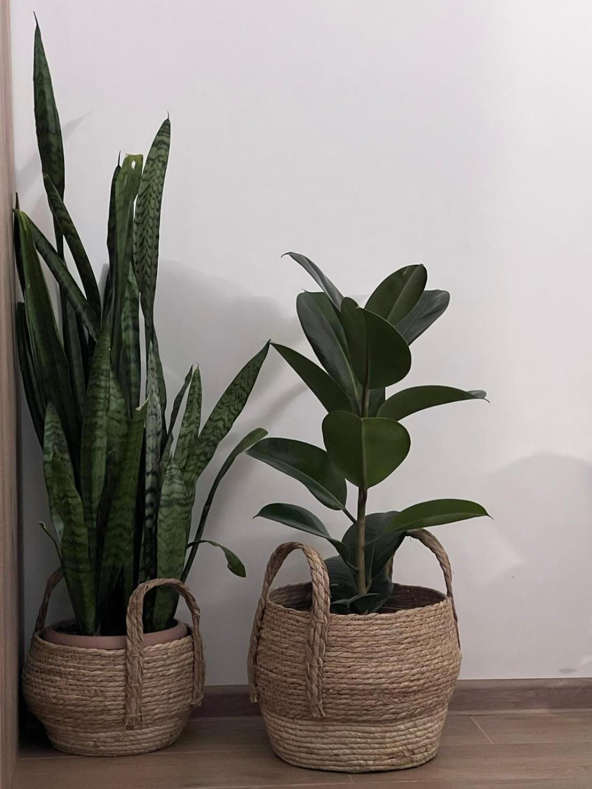 Green Agarak Guest House Near Dendropark, Stepanavan Gyulagarak المظهر الخارجي الصورة