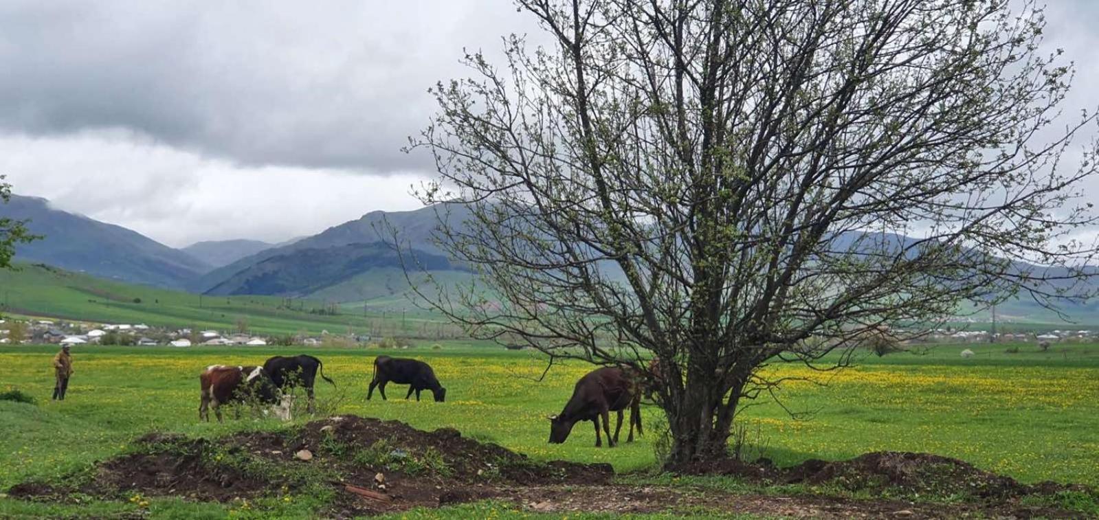 Green Agarak Guest House Near Dendropark, Stepanavan Gyulagarak المظهر الخارجي الصورة