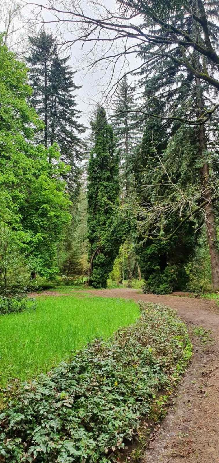 Green Agarak Guest House Near Dendropark, Stepanavan Gyulagarak المظهر الخارجي الصورة